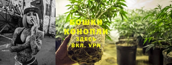 гидра Липки