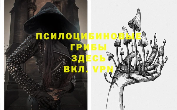 дмт Магас