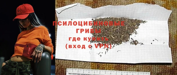 дмт Магас