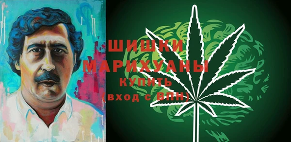 крисы Майский